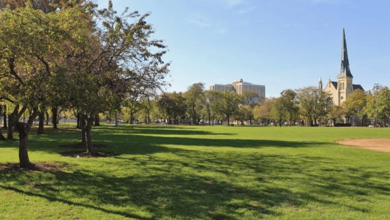 City Parks Enhance Green Spaces Efficiently